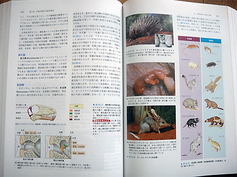 キャンベル生物学の12版の原書 - 本